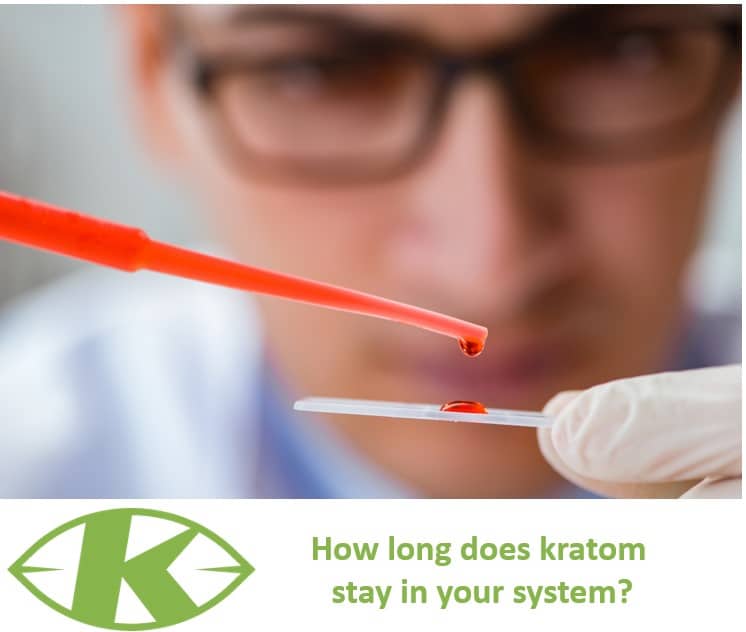 How long does kratom stay in your system?