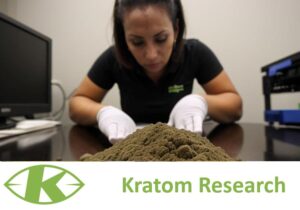 kratom research