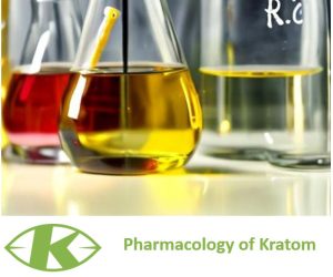 Pharmacology of kratom
