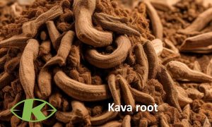 Kava root