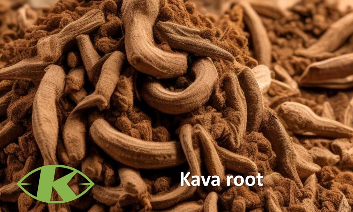 Kava root